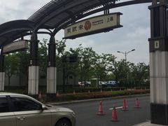 -迪士尼乐园停车场