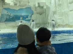 -华夏文旅海洋公园