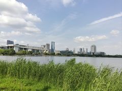 -月湖风景区