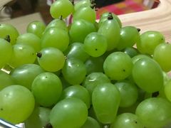 -马陆小张葡萄园农家乐