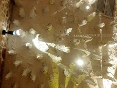 -沐王府水会(中欣广场店)