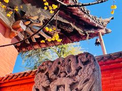 -洛阳白马寺