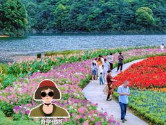 -广州市石门国家森林公园