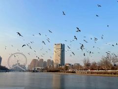 -天津之眼摩天轮