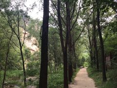 -碓臼峪自然风景区