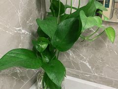 -上海交通大学医学院附属仁济医院(南院)