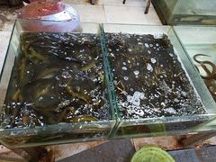 -金宝生活市场(东五环店)