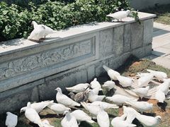 -赤坎·广东华侨国际旅游度假区