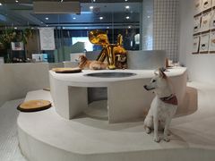 -柴务处·柴犬主题狗咖