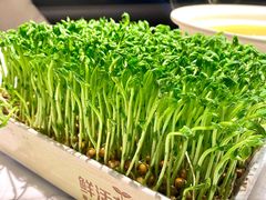 -领鲜天下·焗海鲜·花胶鸡(天目里店)