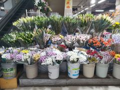 -无锡文化工艺品市场(槐古路店)