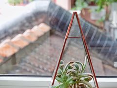 -蝶舍·MAISON PAPILLON