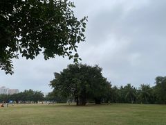 -白沙门生态公园