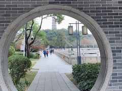 -顺峰山公园