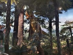 -浙江自然博物院(杭州馆)