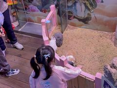 -正佳雨林生态植物园