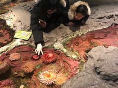 -西雅图水族馆
