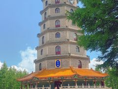 -塞罕坝国家级自然保护区