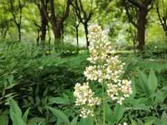 -木塔寺遗址生态公园