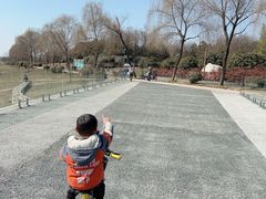 -洨河生态公园