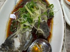 -富来美食