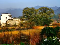 -塔川景区