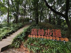 -广州市帽峰山景区