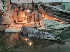 -重庆欢乐海底世界