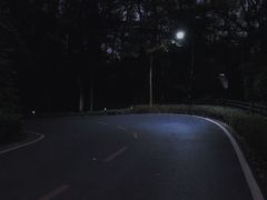 -广州市帽峰山景区