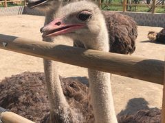 -武清南湖绿博园