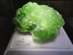 -湖南省地质博物馆