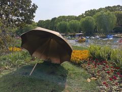 -上海鲜花港