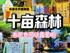 -十亩森林