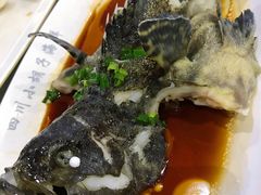 石斑鱼清蒸-四川小胡子海鲜(丁村万人海鲜广场店)
