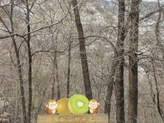 -大岭沟猕猴桃谷风景区