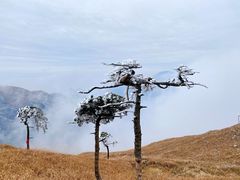 -萍乡武功山风景名胜区