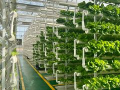 -兰陵国家农业公园