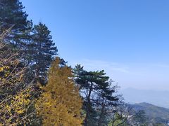 -九华山风景区