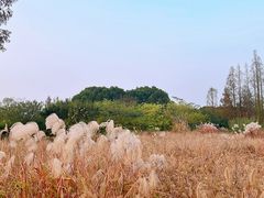 -良渚古城遗址公园