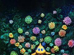 -珠海长隆海洋王国