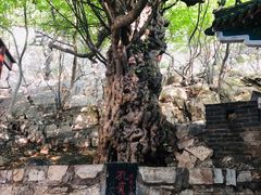 -青檀寺景区