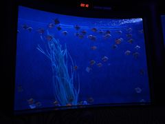 -沈阳海洋探索中心