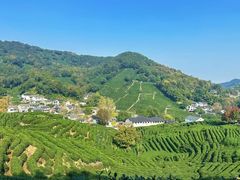 -中国茶叶博物馆(双峰馆区)