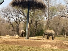 -北京野生动物园