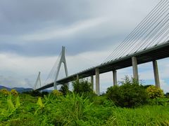 -芒洲湿地公园