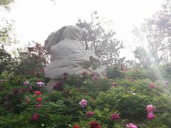 -西海子公园