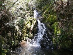 -山沟沟景区
