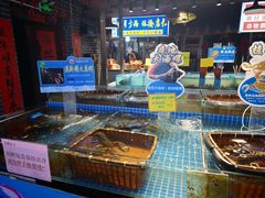 -即墨老公社·海肠捞饭大王(古城店)