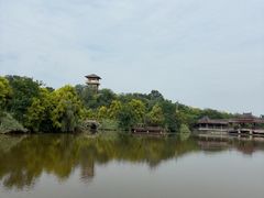 -张坝桂圆林公园