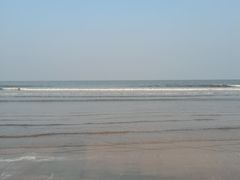 -日照海滨国家森林公园